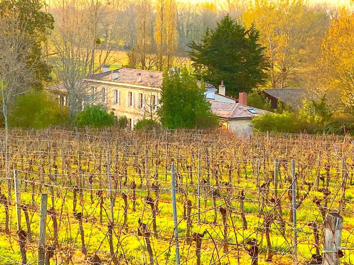 蒙桑Fabuleux - Domaine Du Moulin D'Andraut Bordeaux-Chevaux-Golf-St Emilion别墅 外观 照片