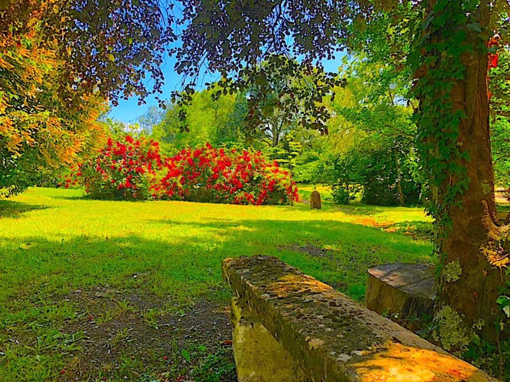 蒙桑Fabuleux - Domaine Du Moulin D'Andraut Bordeaux-Chevaux-Golf-St Emilion别墅 外观 照片