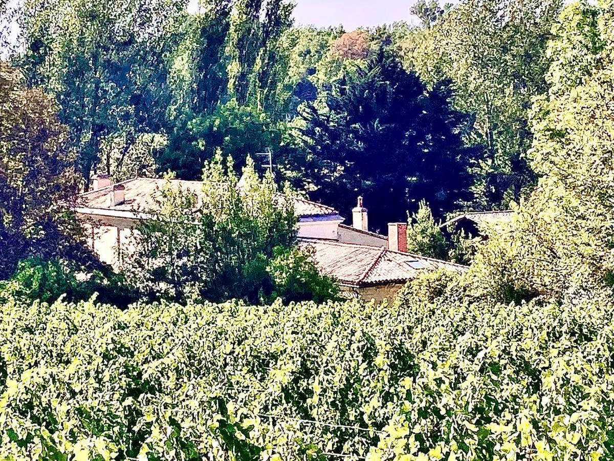蒙桑Fabuleux - Domaine Du Moulin D'Andraut Bordeaux-Chevaux-Golf-St Emilion别墅 外观 照片