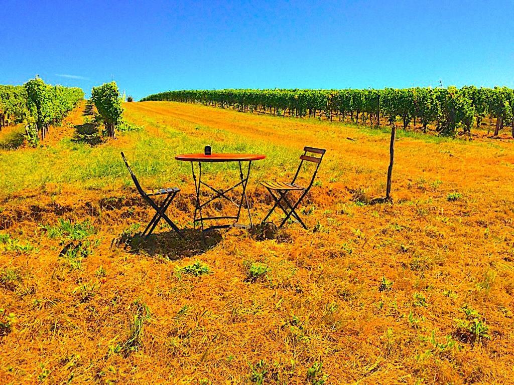 蒙桑Fabuleux - Domaine Du Moulin D'Andraut Bordeaux-Chevaux-Golf-St Emilion别墅 外观 照片